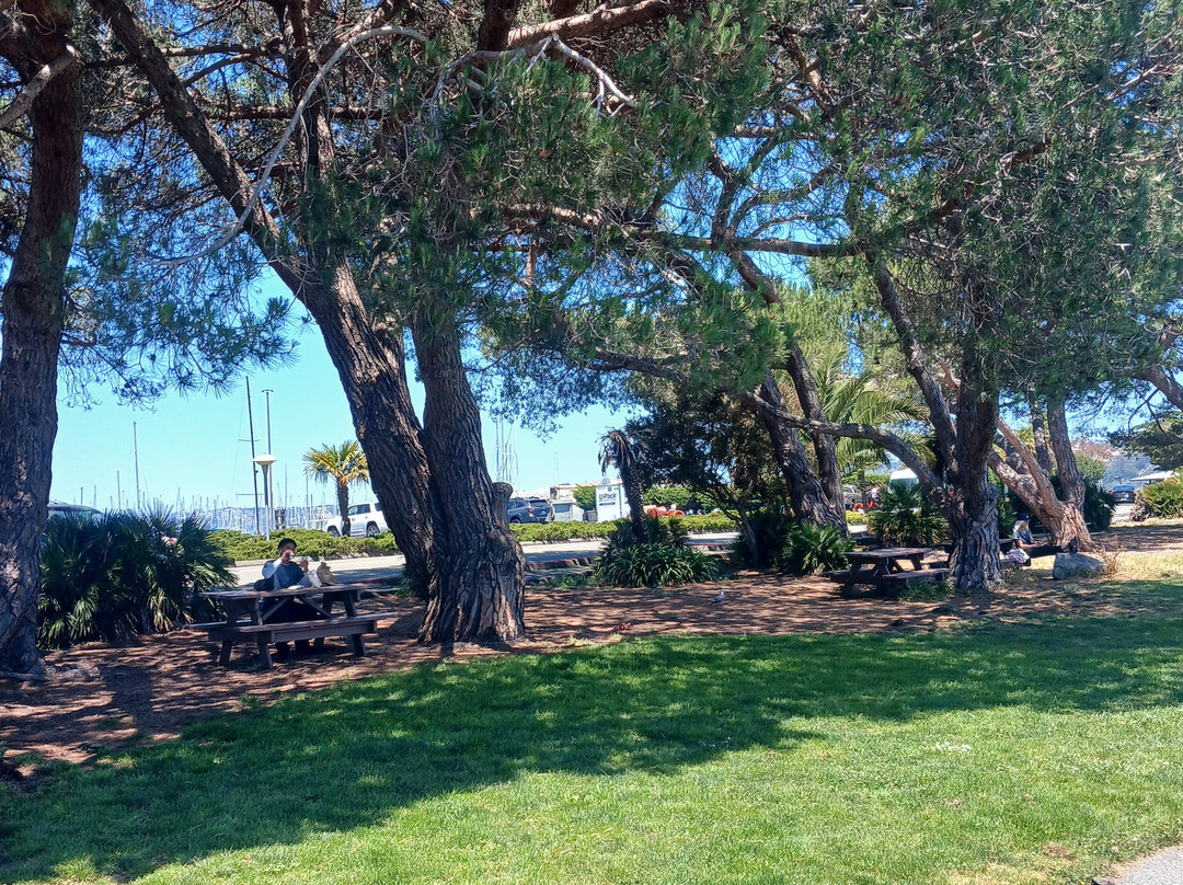 Gabrielson Park景点图片