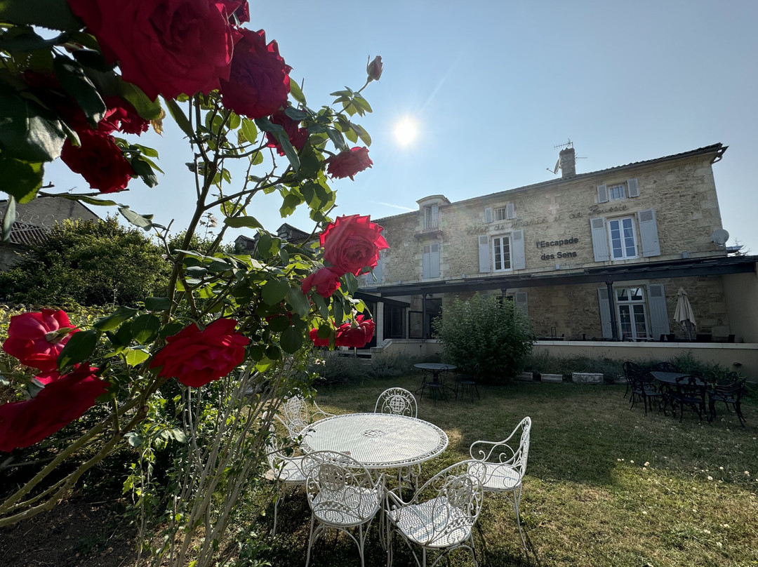 Hotel De France Et De Russie主图