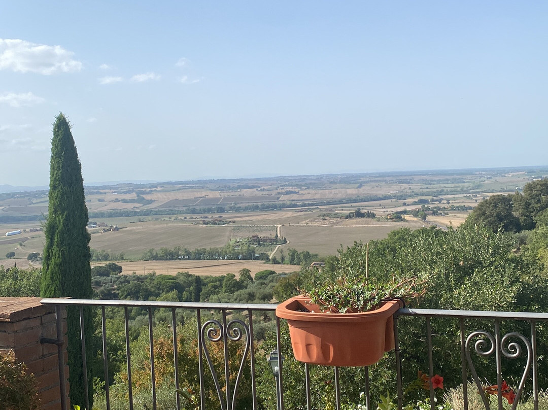 Il Galletto di Marzo主图