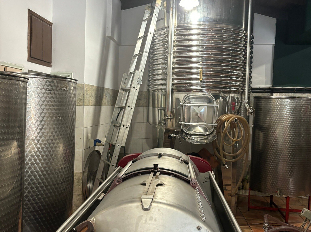 Siflogo Winery-莱夫卡扎必去景点