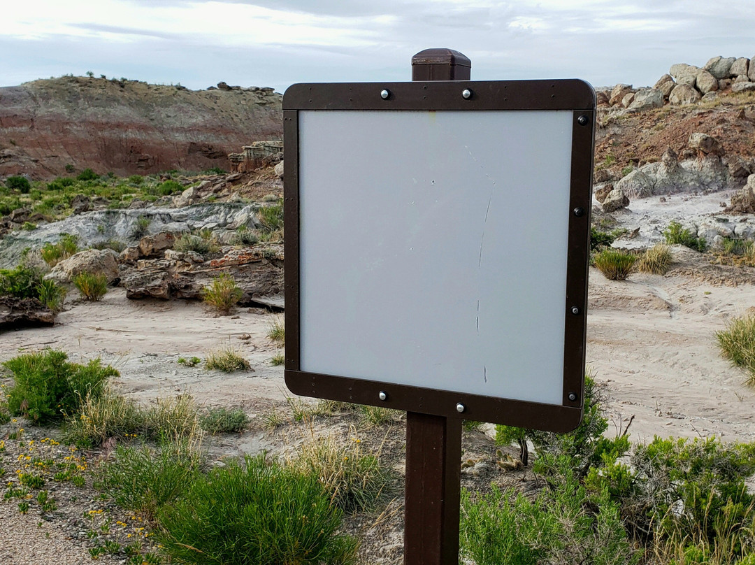 Gooseberry Badlands Scenic Overlook & Trail景点图片
