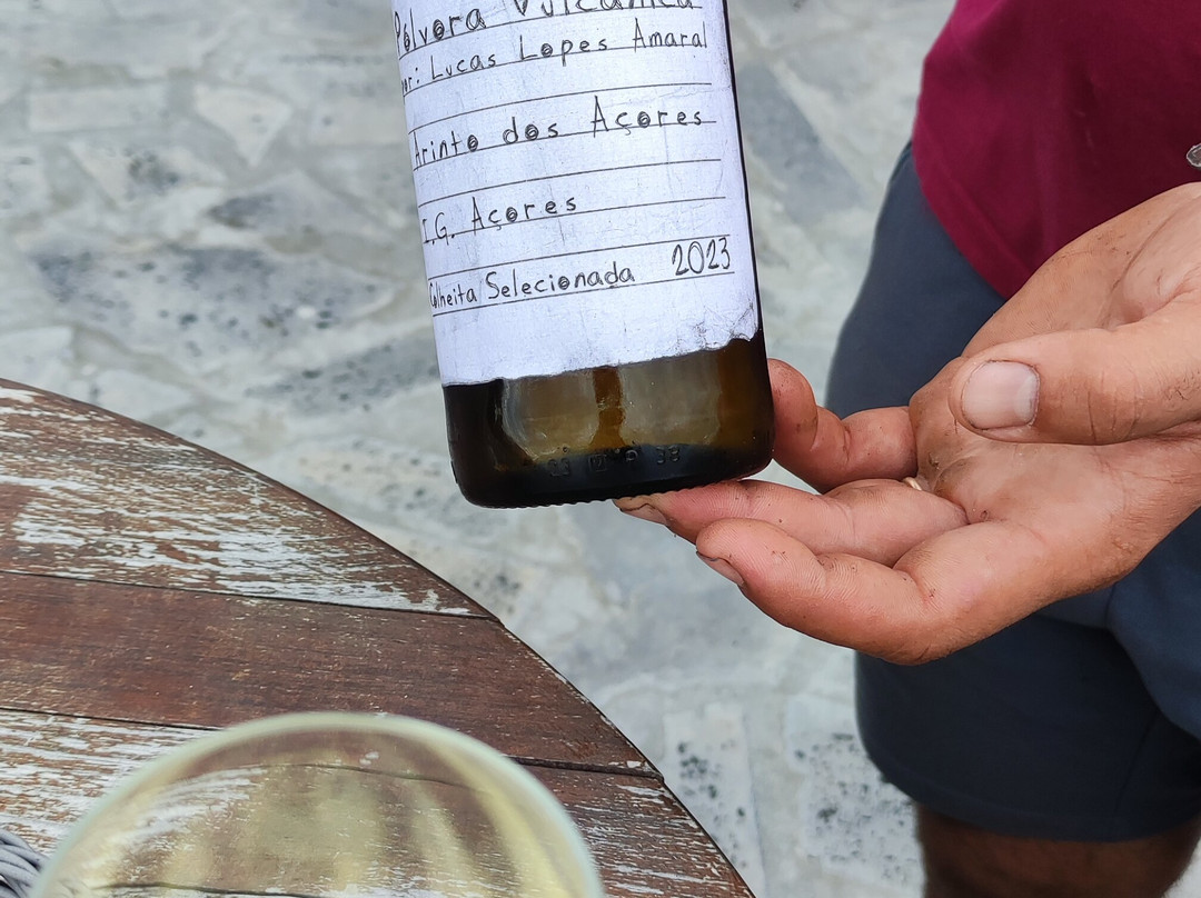 Adega Vitivinícola Lucas Lopes Amaral-Candelaria必去景点