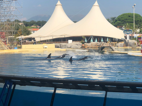 Marineland Lagoon-安提贝必去景点