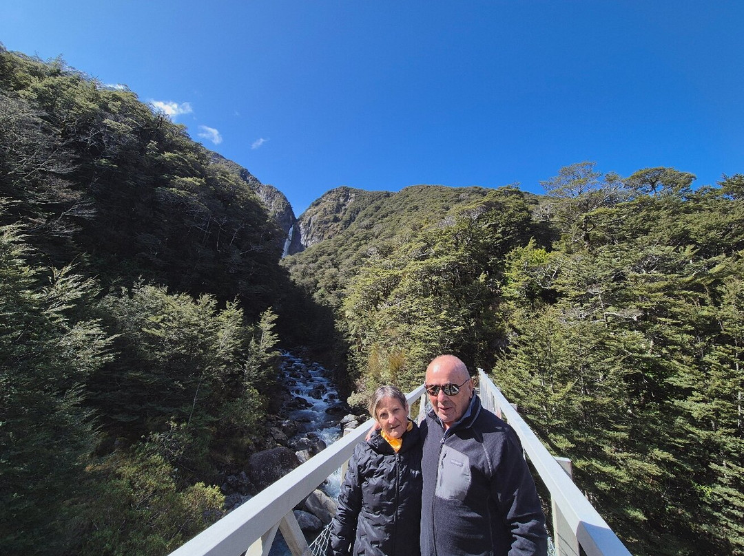 Aroha Luxury New Zealand Tours-Tokoroa必去景点