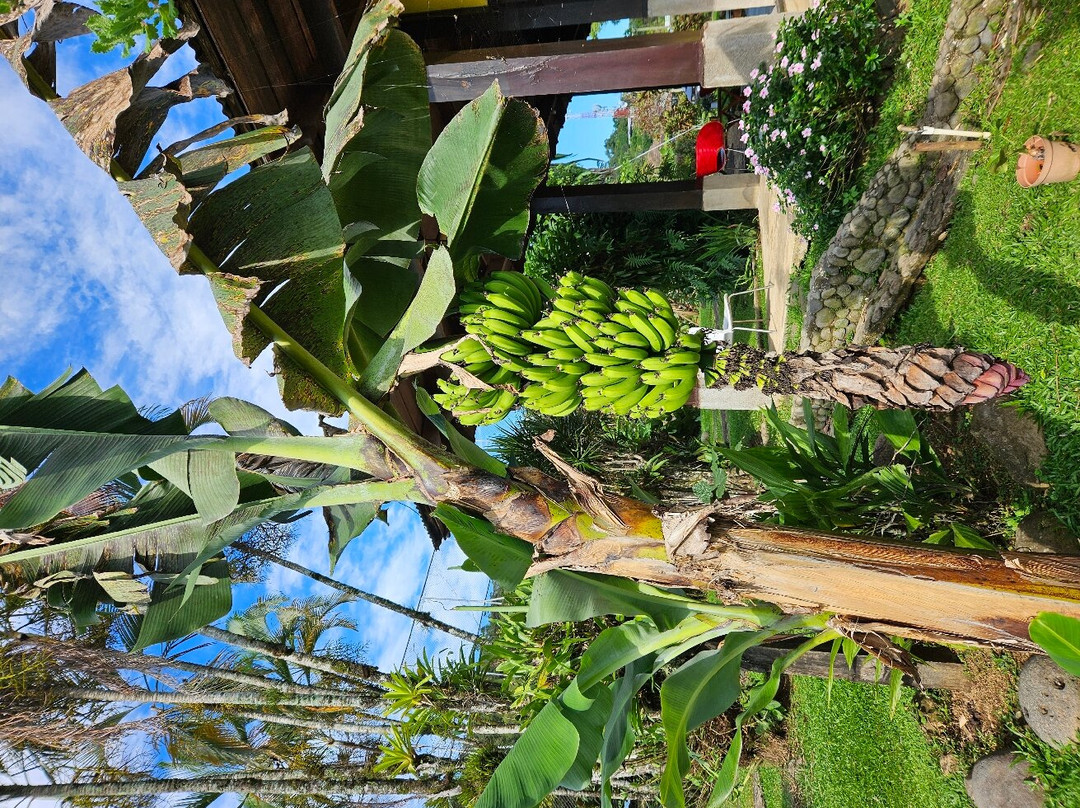 Eco Lodge Los Gallitos