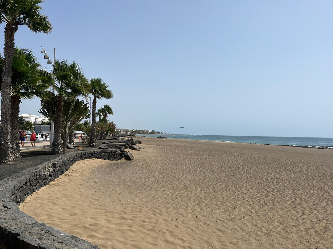 Playa Matagorda景点图片