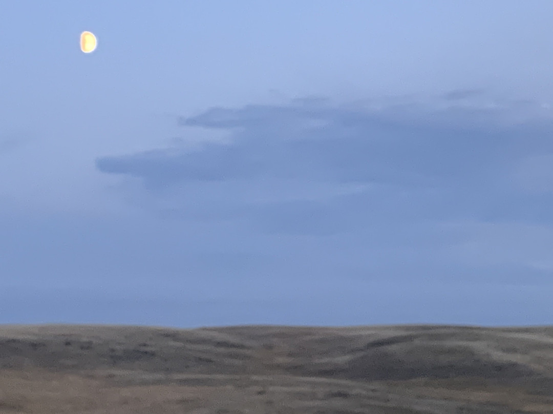 The Crossing at Grasslands主图