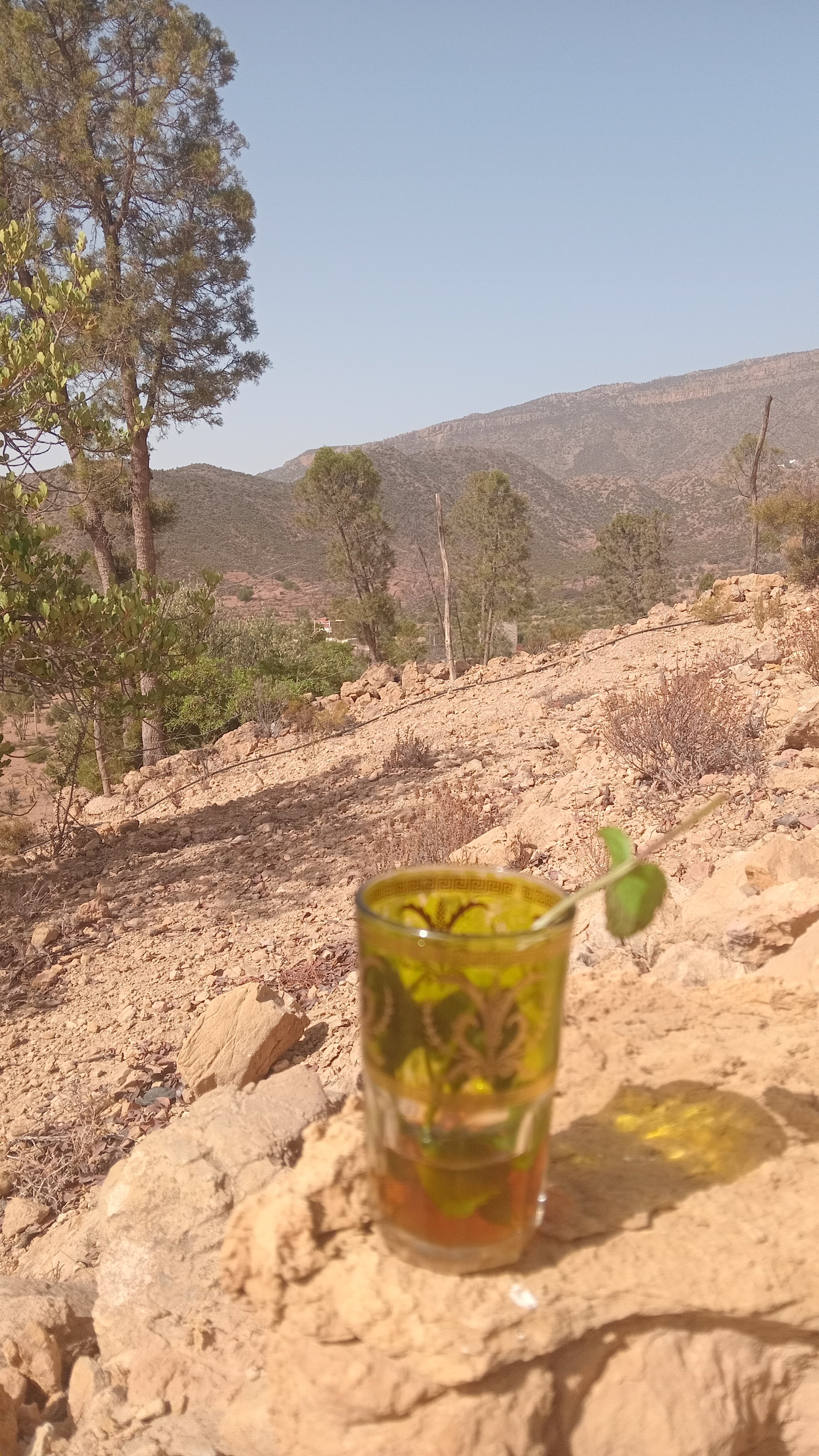 Riad de l'Olivier-官方