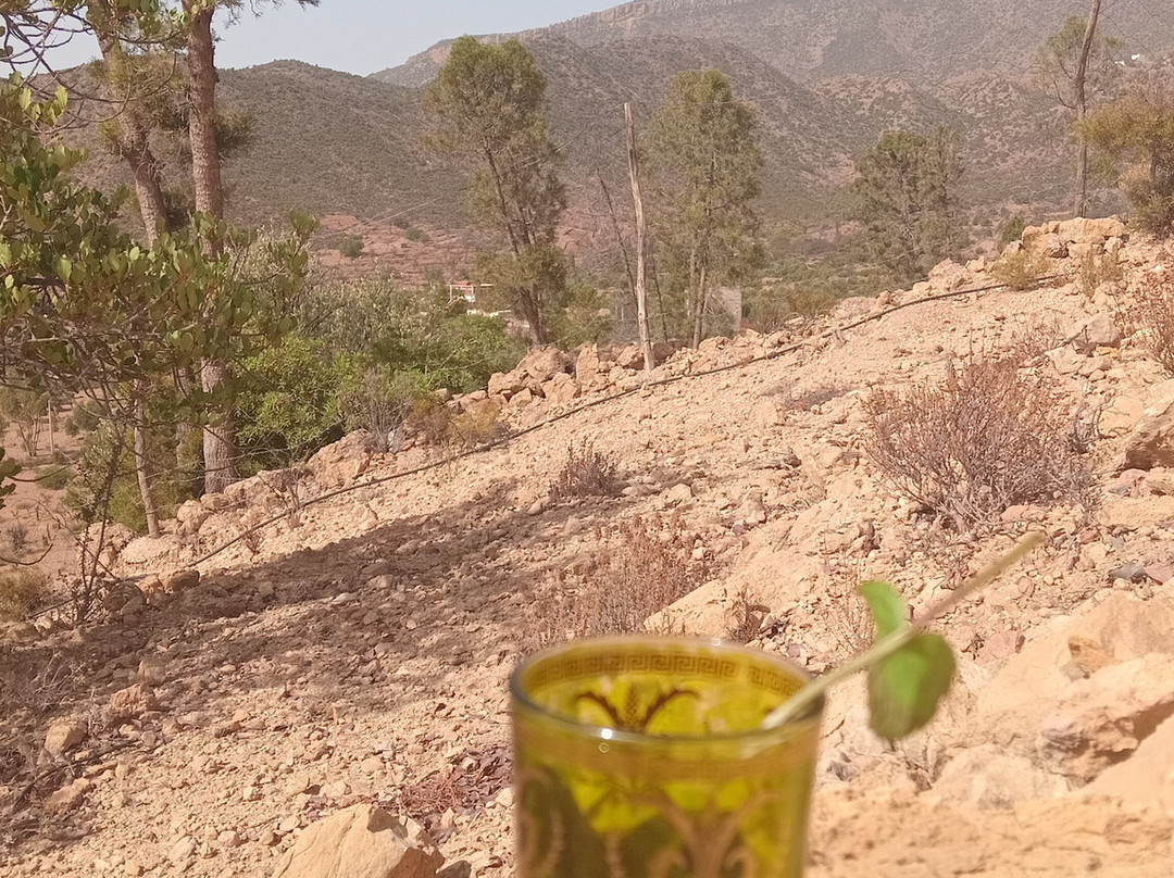 Riad de l'Olivier主图