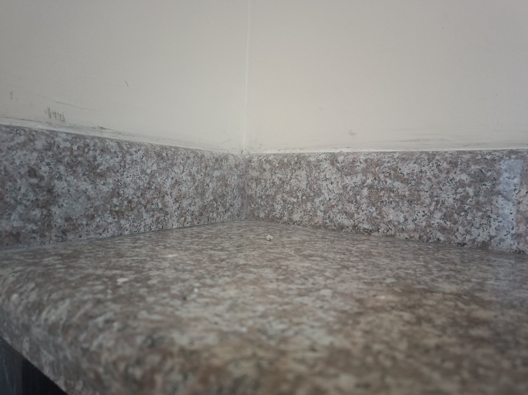 Delfin Rosado Hotel & Spa主图