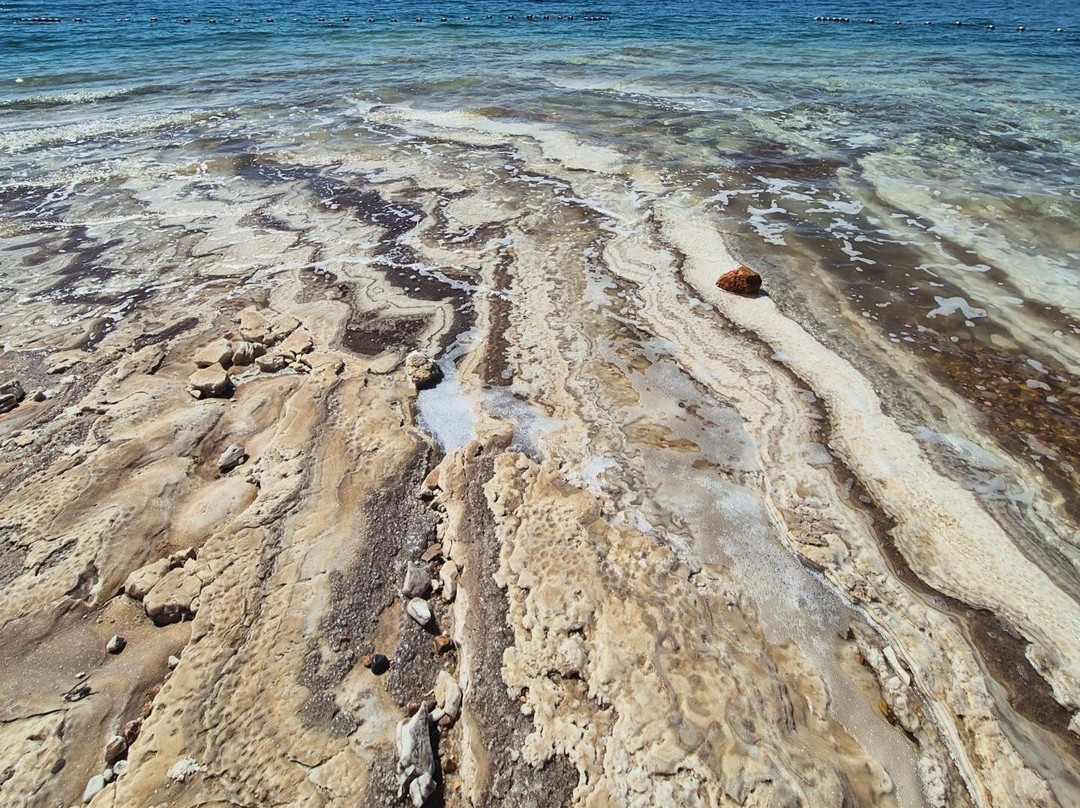O Beach-死海地区必去景点