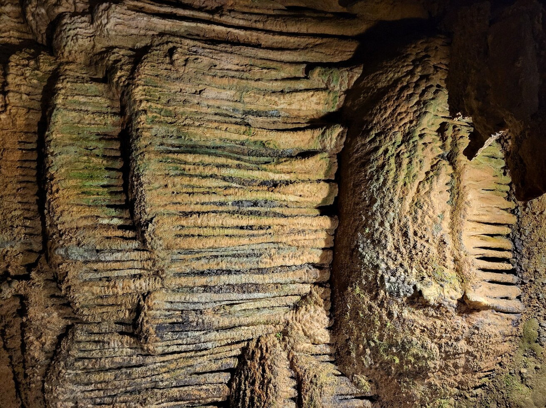 Forbidden Caverns-塞维尔维尔必去景点