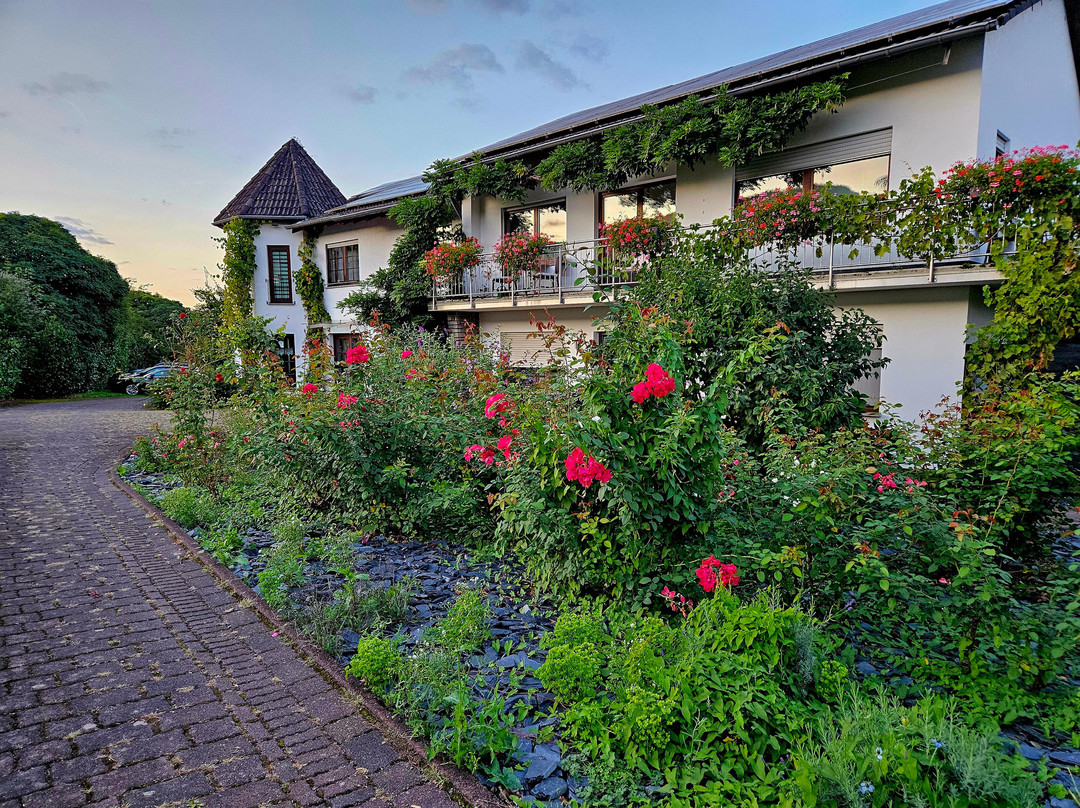 Weingut Raevenhof景点图片