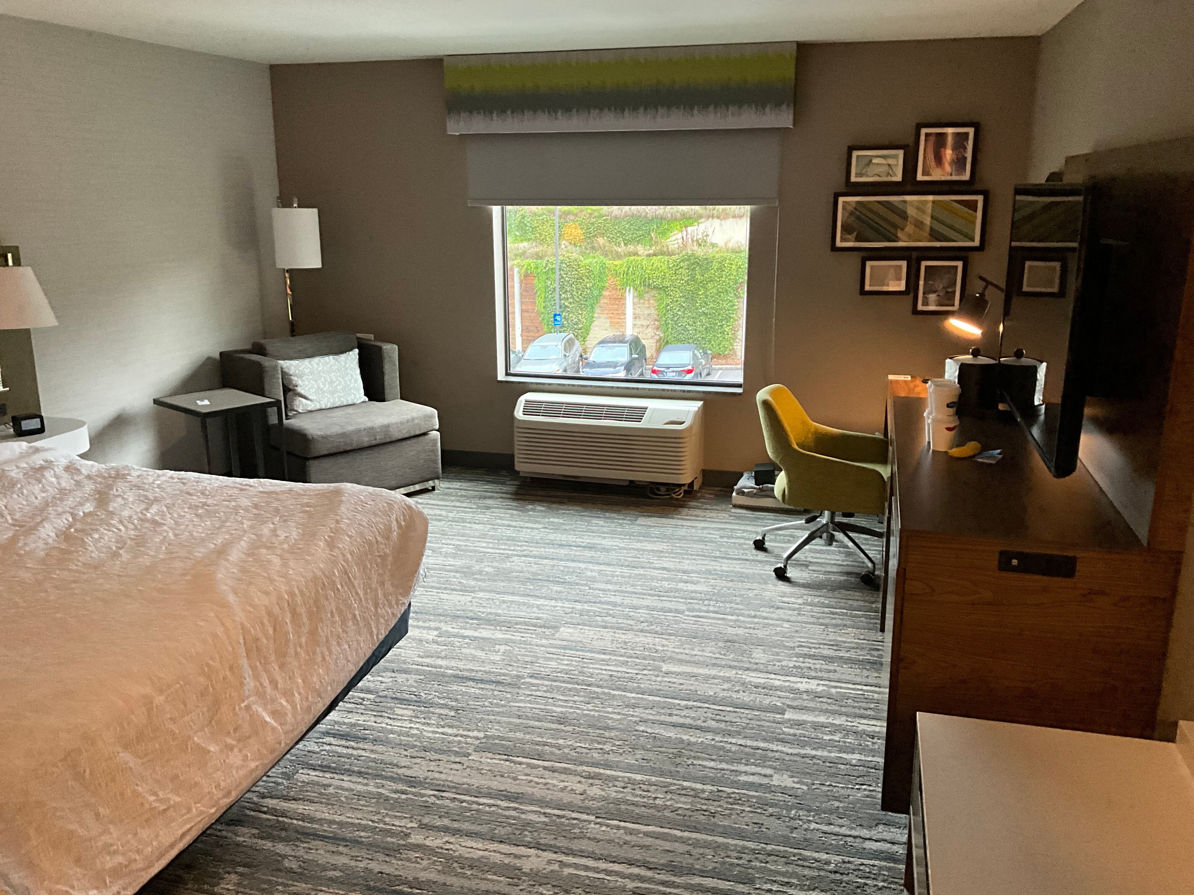 皮阿拉普希尔顿恒庭旅馆&套房酒店-客卧