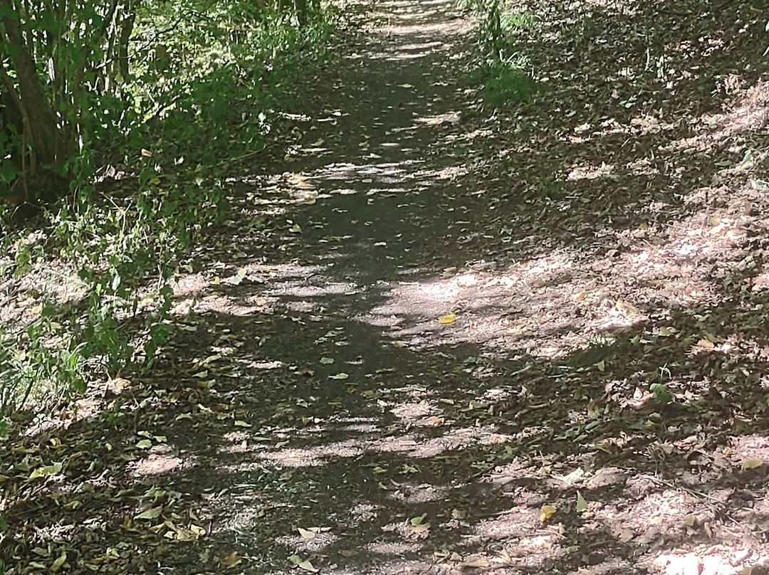 KNAUS Campingpark Hunfeld主图