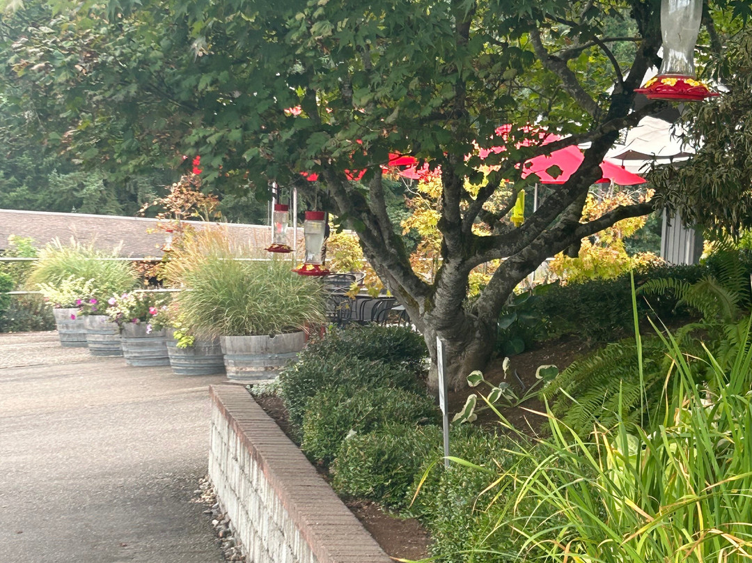 Knudsen Vineyards-Dundee必去景点