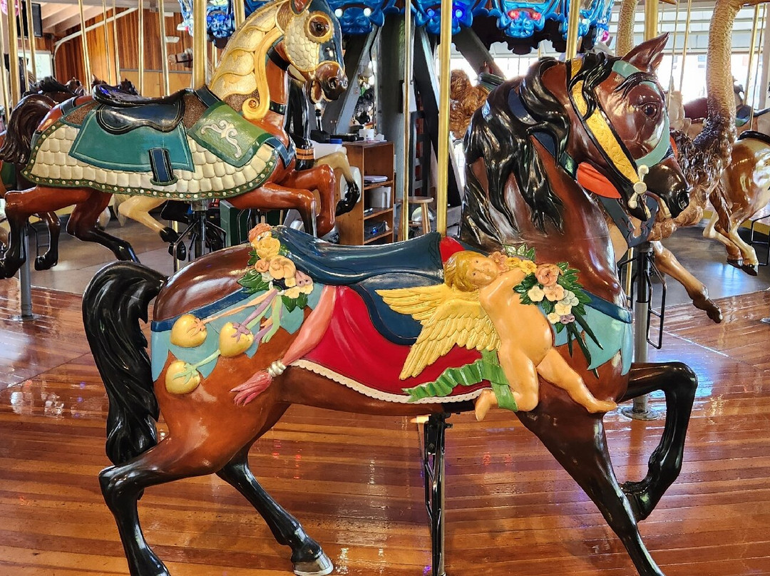 Richland Carrousel Park景点图片