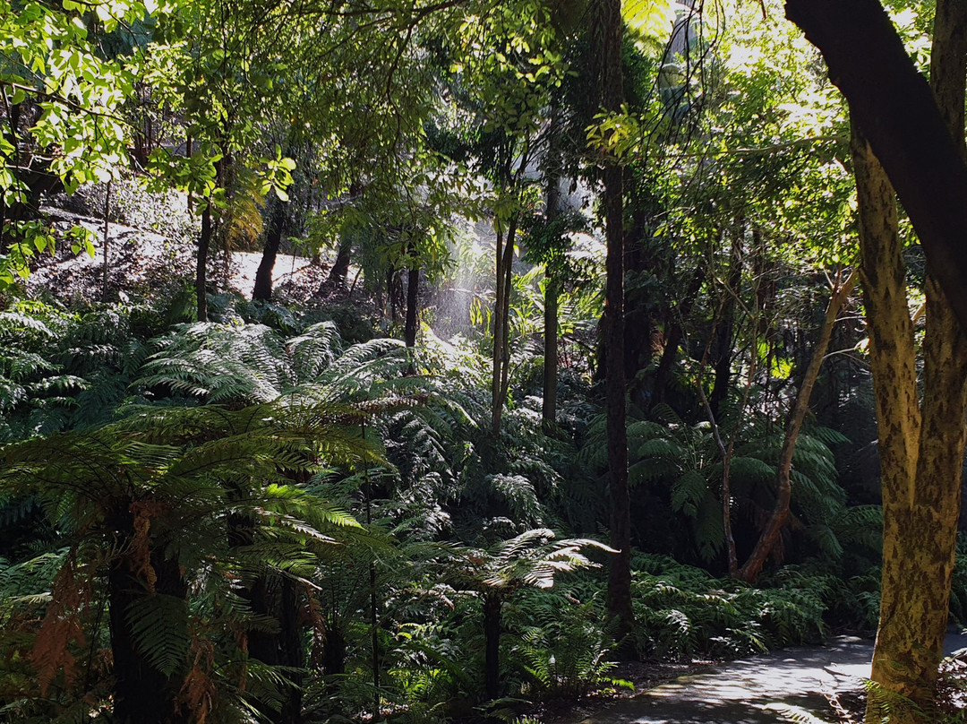 Mount Lofty Botanic Garden景点图片