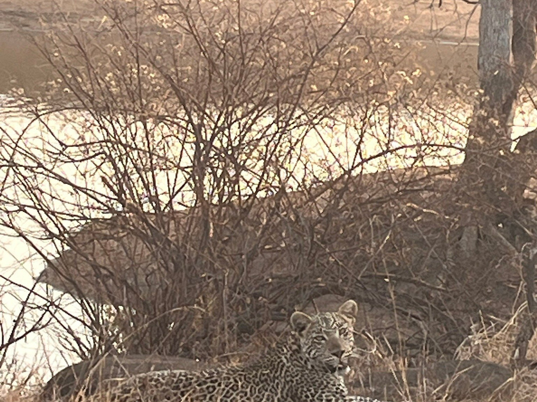 Osprey Tours & Shuttles-霍德斯普鲁特必去景点
