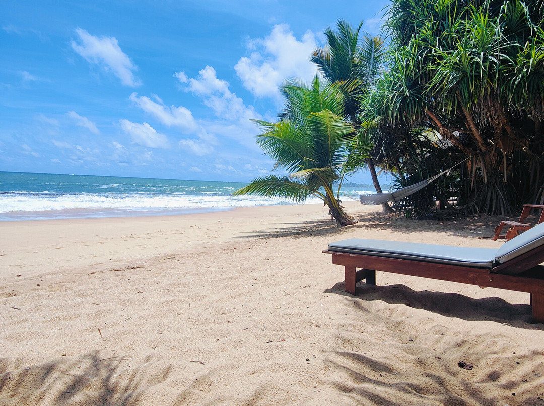 Marakolliya Beach Resort主图