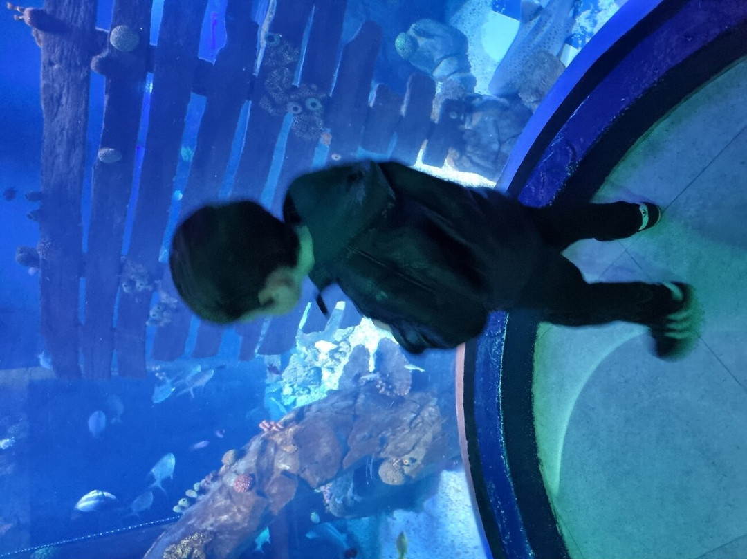 SEA LIFE Konstanz-康士坦茨必去景点