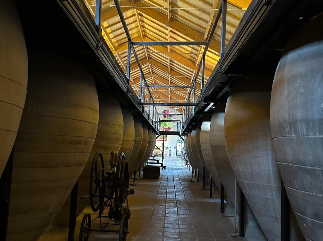 Museo del Vino景点图片