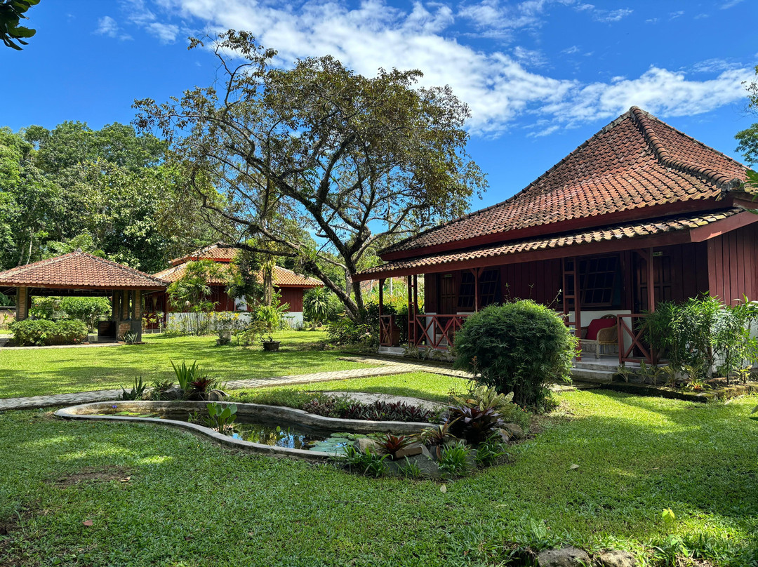 Pesawaran酒店住宿-萨特沃大象生态酒店