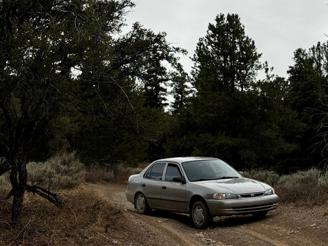 Success Loop-Ely必去景点