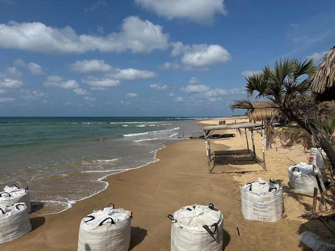 Mozambique Experience