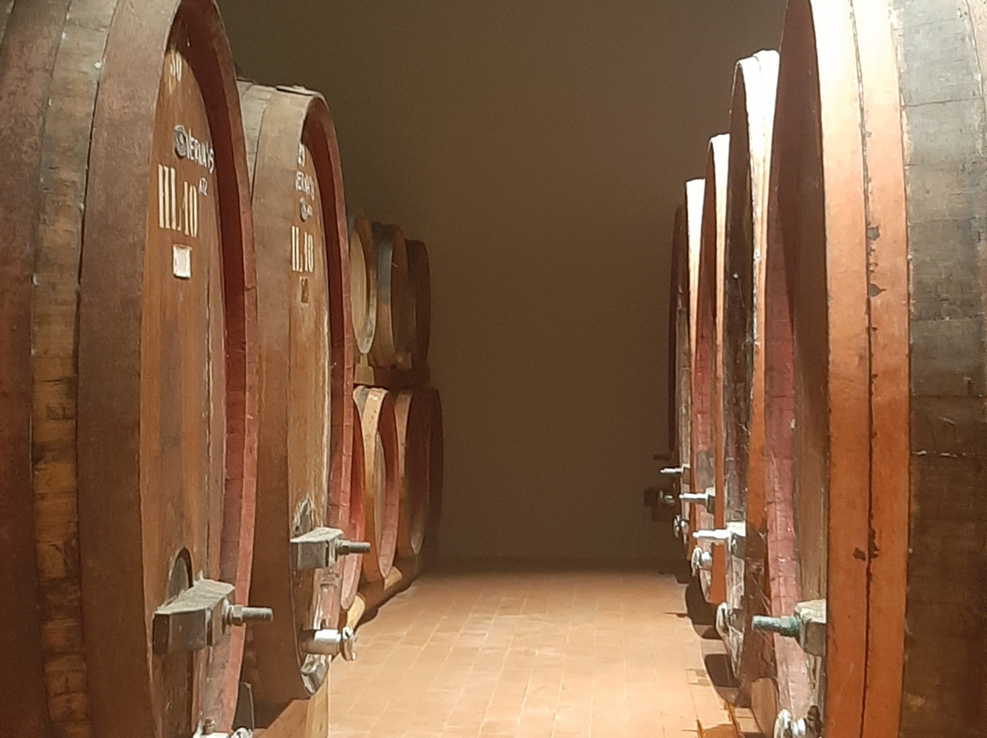Azienda Vinicola Contini-卡布拉斯必去景点