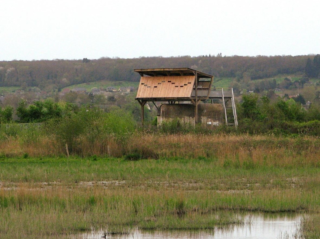 Reserve Naturelle Nationale de l'Estuaire de la Seine景点图片