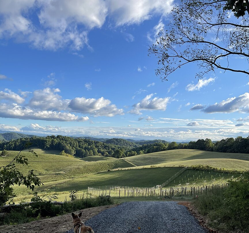Squabble State Hard Cider & Spirits-Bristol必去景点