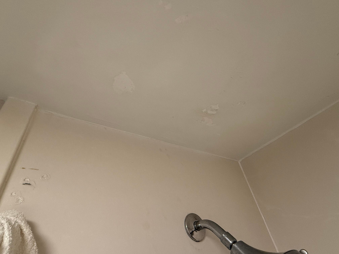 Holiday Inn Express Harrisburg NE by IHG主图