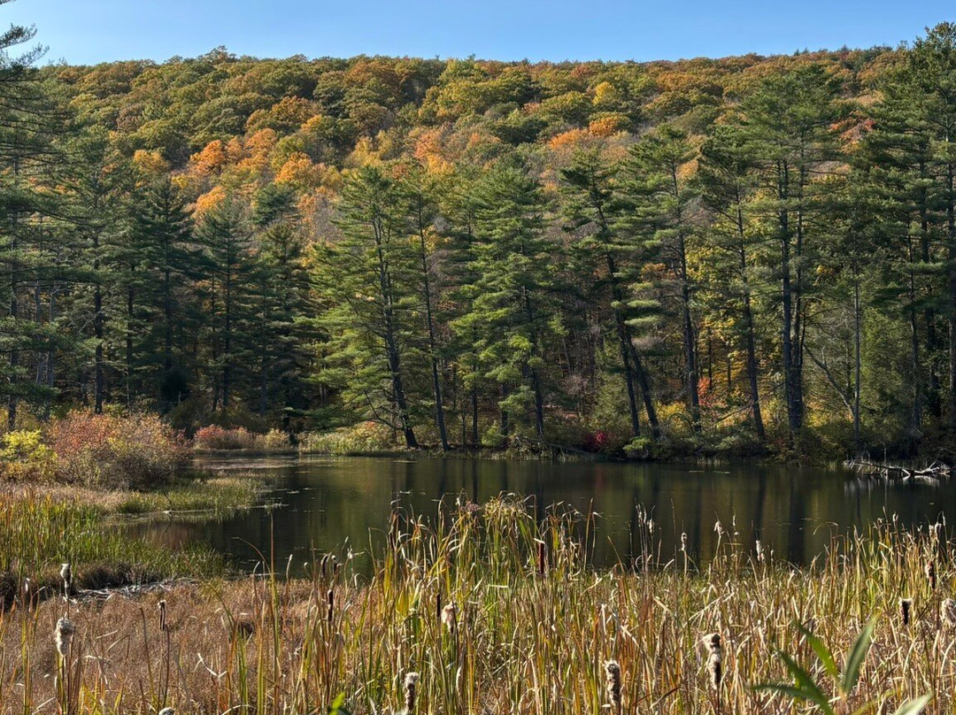 Mass Audubon Pleasant Valley Wildlife Sanctuary景点图片