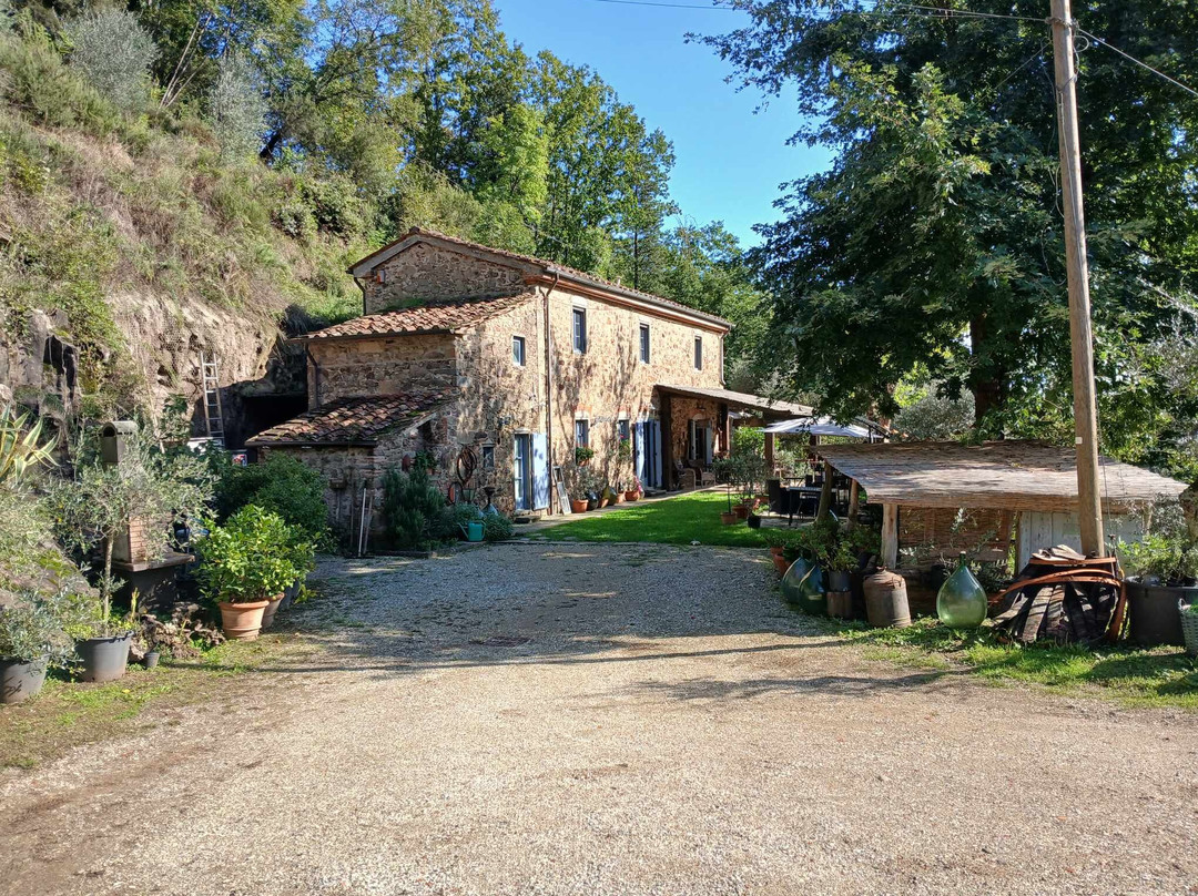 Agriturismo Tananei - Extra Virgin Olive Oil experience-Marliana必去景点