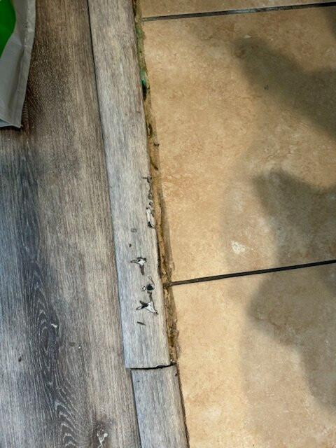 Beach Cove Resort主图