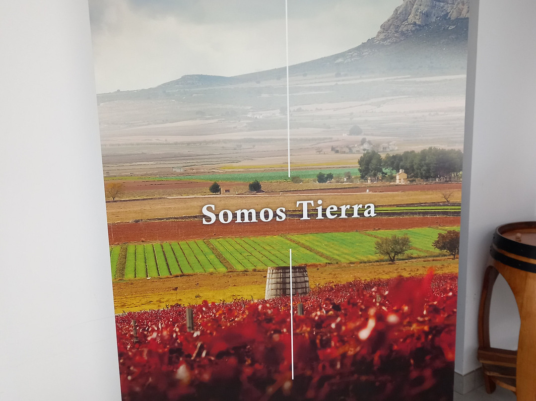 Bodega Hijos de Juan Gil-Jumilla必去景点