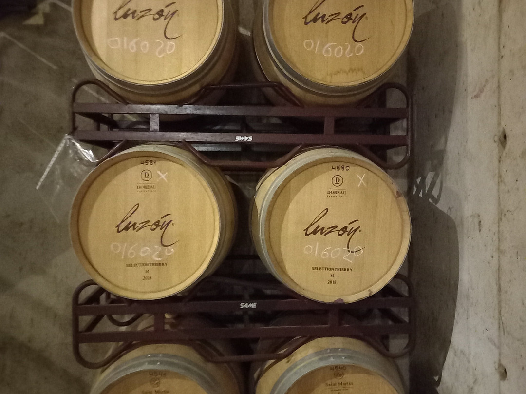 Bodegas Luzón-Jumilla必去景点