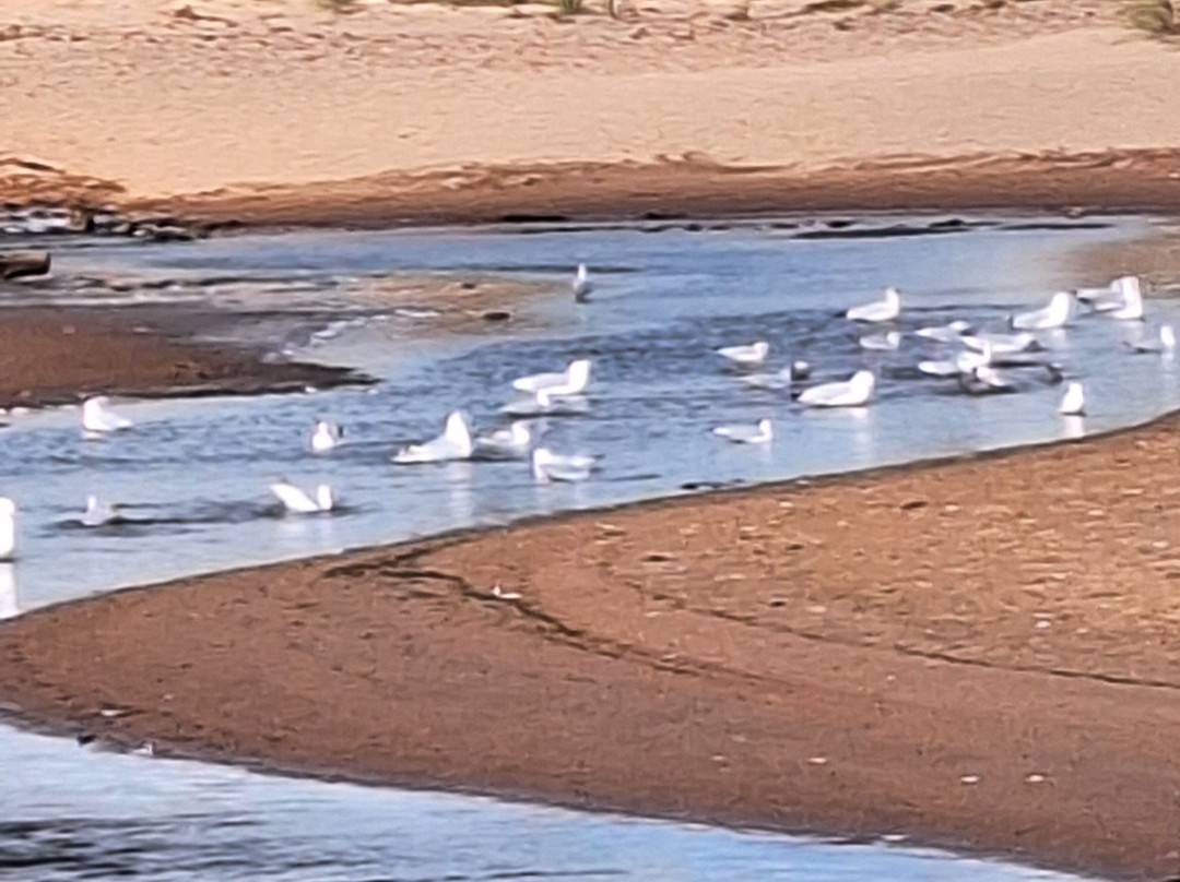 North Rustico Beach-North Rustico必去景点