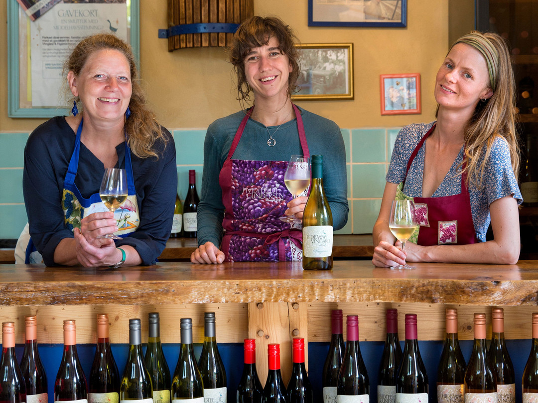 Hideaway Vingard-Vesterby必去景点