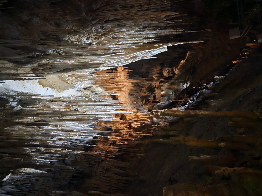 Hastings Caves and Thermal Springs景点图片