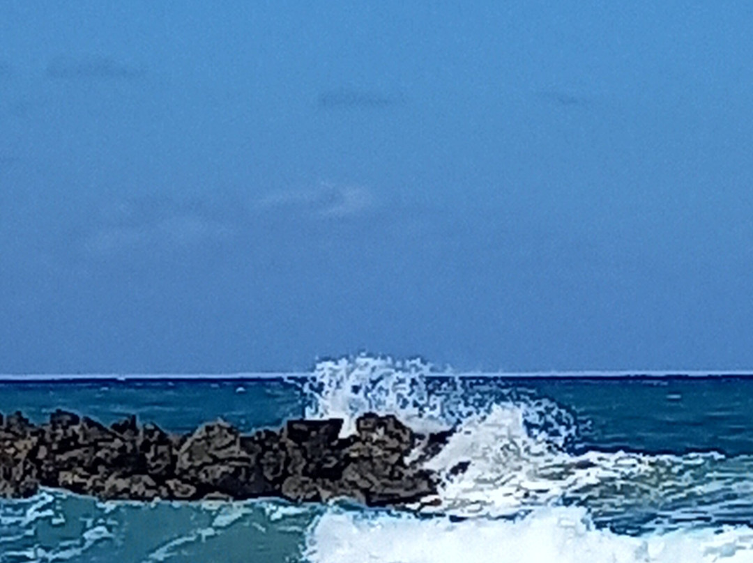 Julies Apartments主图