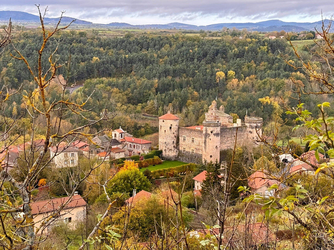 Forteresse de Saint-Vidal景点图片