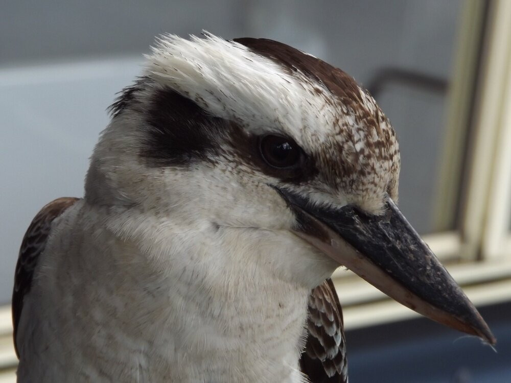 塔巴里格床和早餐主图