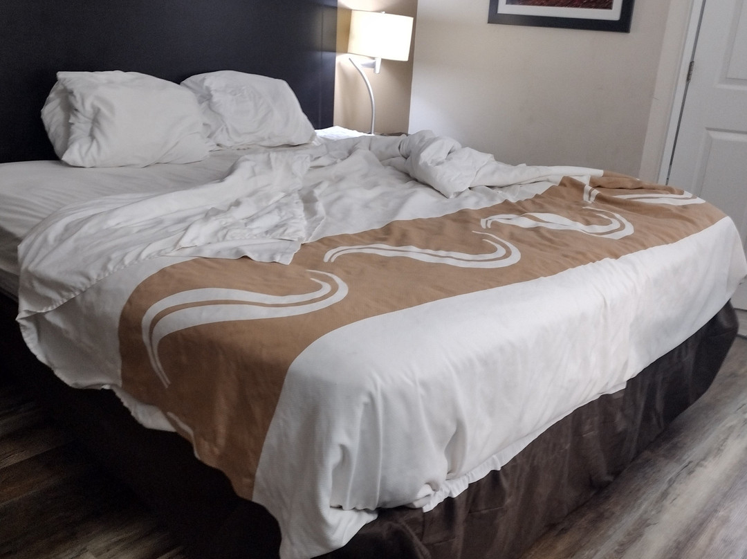 Quality Inn Decherd主图