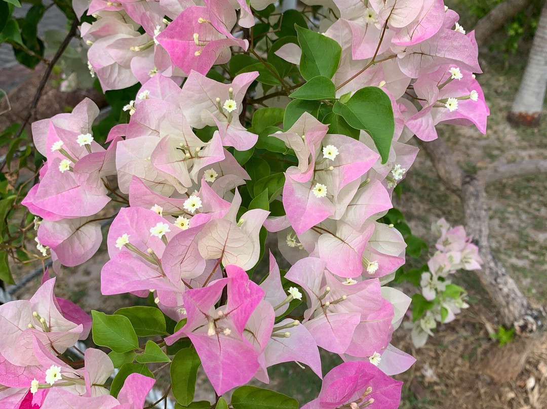 卡萨德里拉自助旅馆主图