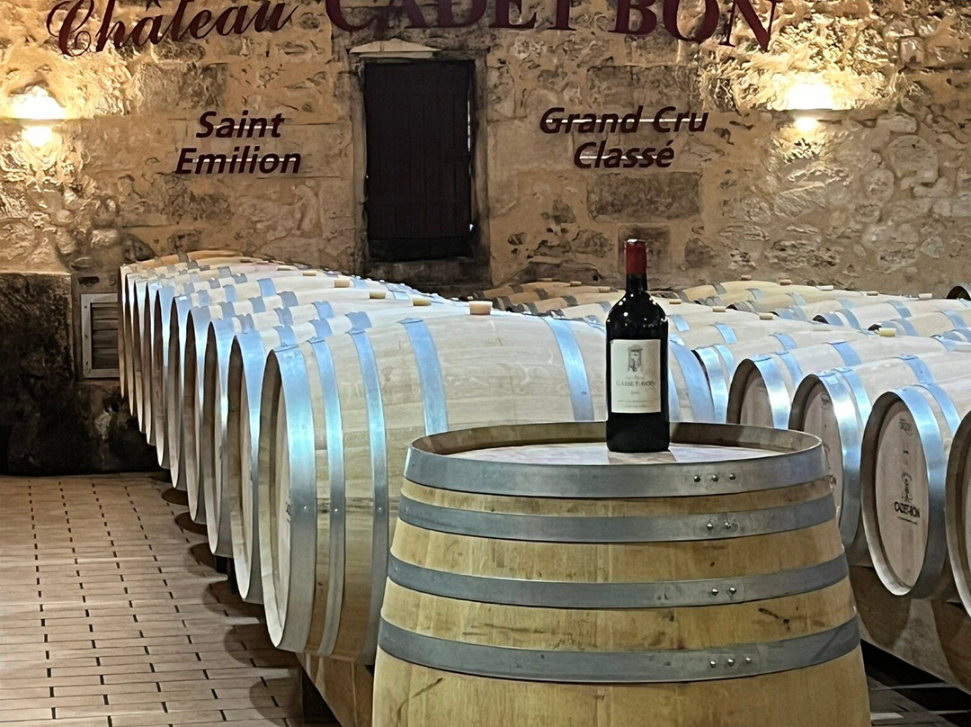 Château Cadet-Bon景点图片