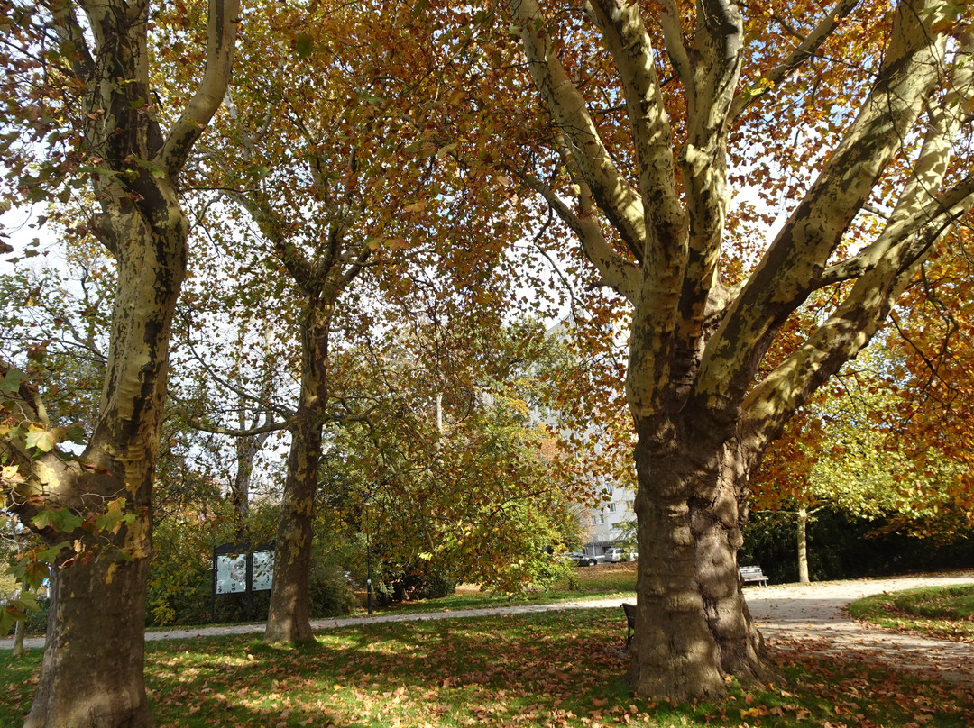 Park Południowy景点图片