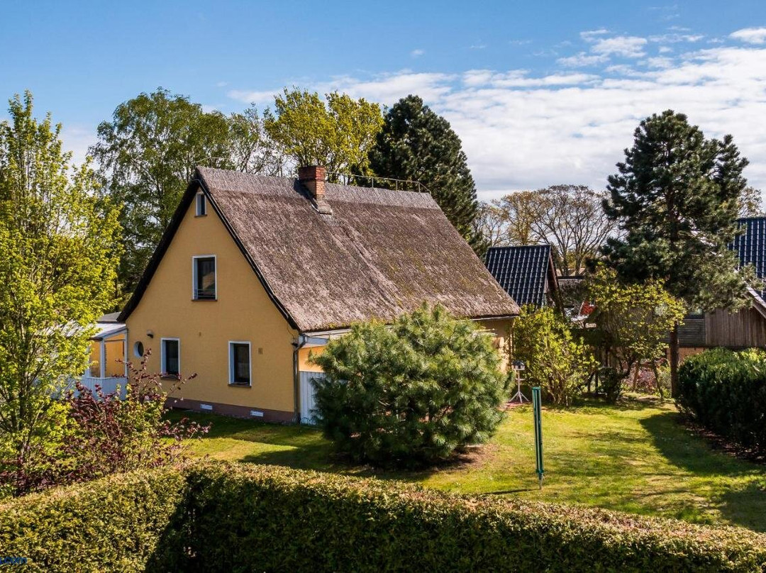 Darßer Koje
