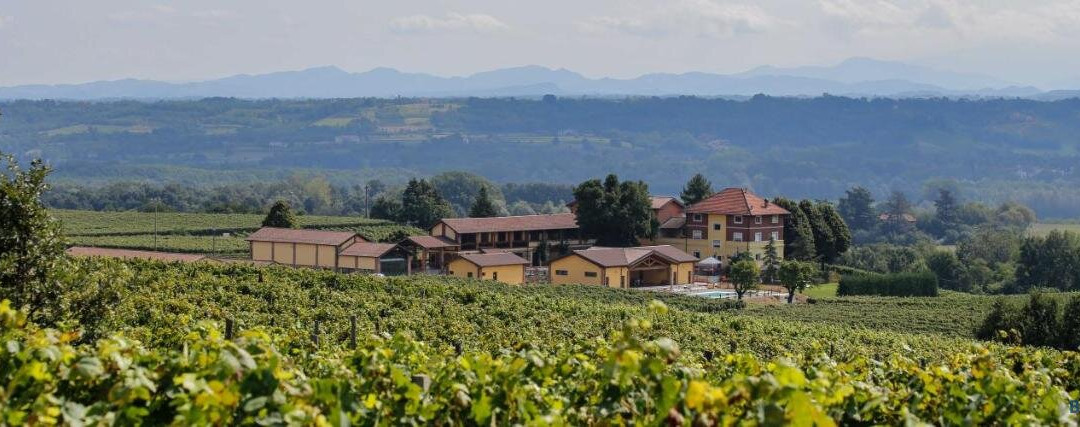 Tenuta Montebello